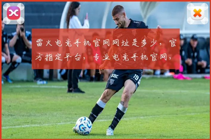 雷火电竞手机官网网址是多少，官方指定平台，专业电竞手机官网，快速访问，体验极致