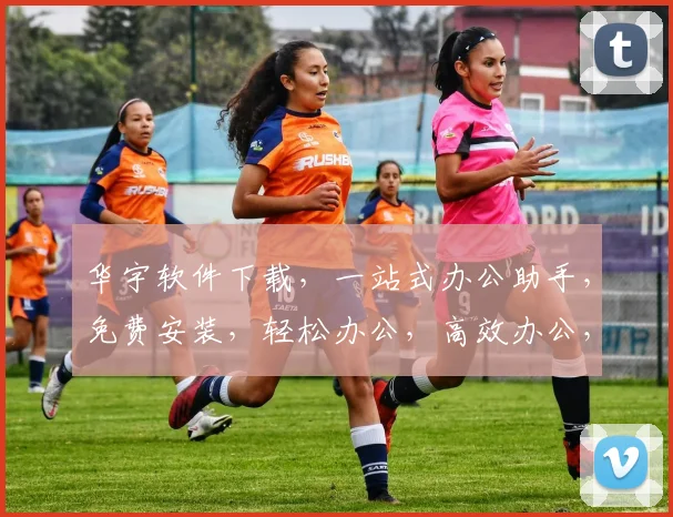 华宇软件下载，一站式办公助手，免费安装，轻松办公，高效办公，必备神器