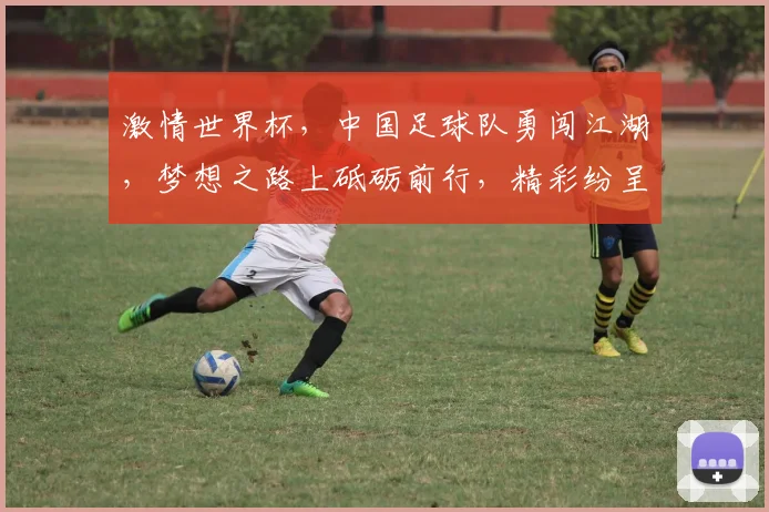激情世界杯，中国足球队勇闯江湖，梦想之路上砥砺前行，精彩纷呈